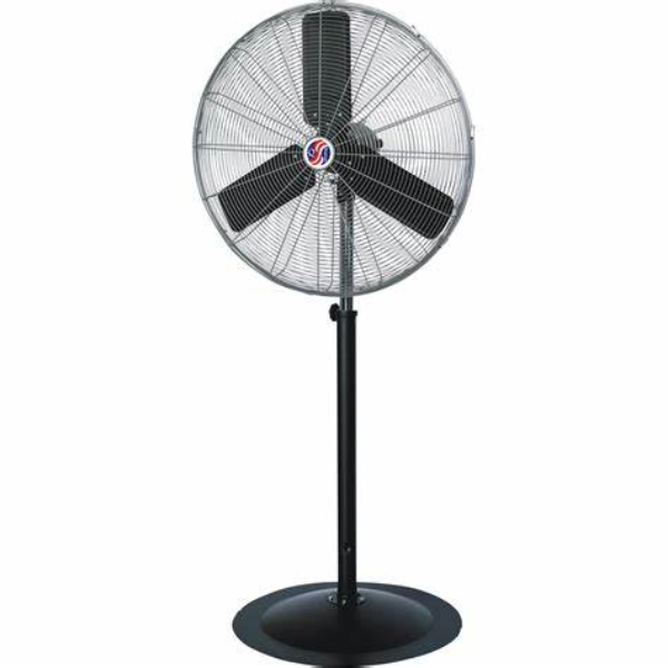 fan